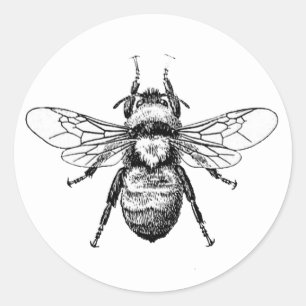 Adesivo Redondo Bumble a abelha