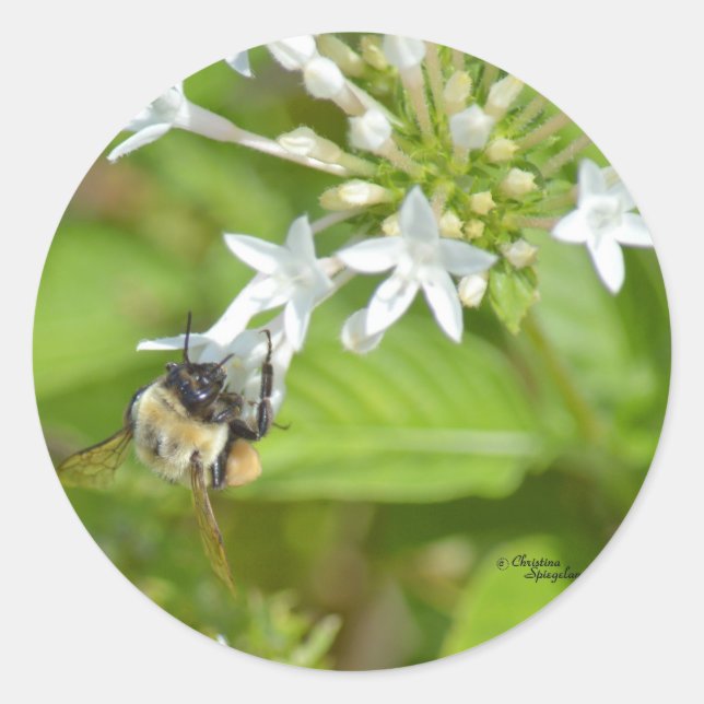 Adesivo Redondo Bumblebee e flores (Frente)