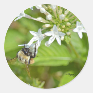 Adesivo Redondo Bumblebee e flores