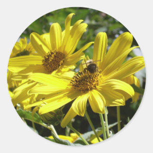 Adesivo Redondo Bumblebee e Sunflower