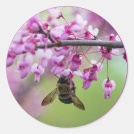Adesivo Redondo Bumblebee em Redbud Blossoms