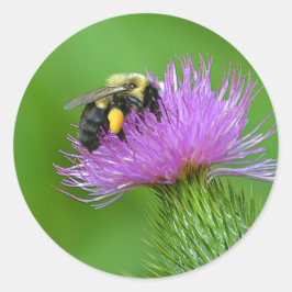 Adesivo Redondo Bumblebee Sticker