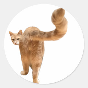 Adesivo Redondo Bumbum Floyd Sticker - Com Rosto!