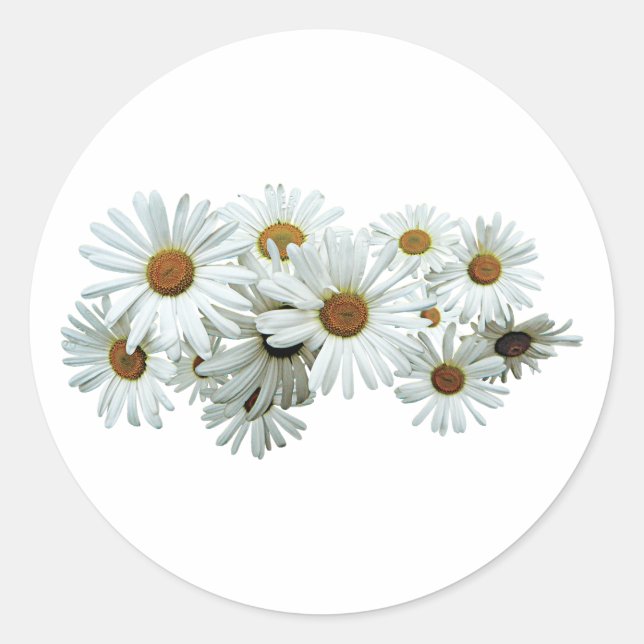 Adesivo Redondo Bunch of White Daisies (Frente)