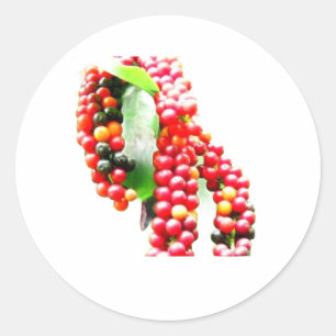Adesivo Redondo Buni Berry - Fruta Selvagem Rara da Indonésia em S