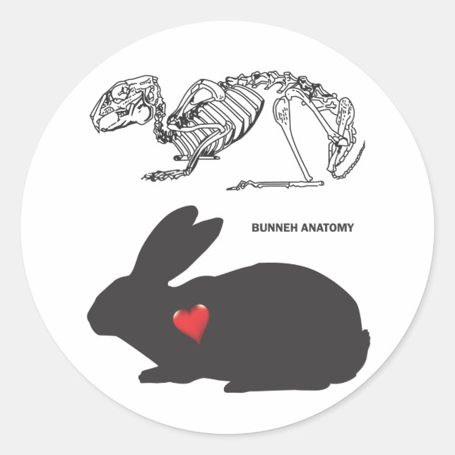 Adesivo Redondo Bunny Anatomy (Frente)