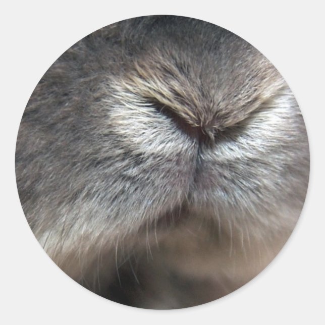 Adesivo Redondo Bunny Nose (Frente)