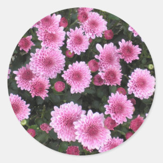 Adesivo Redondo Buquê da Natureza: Primavera