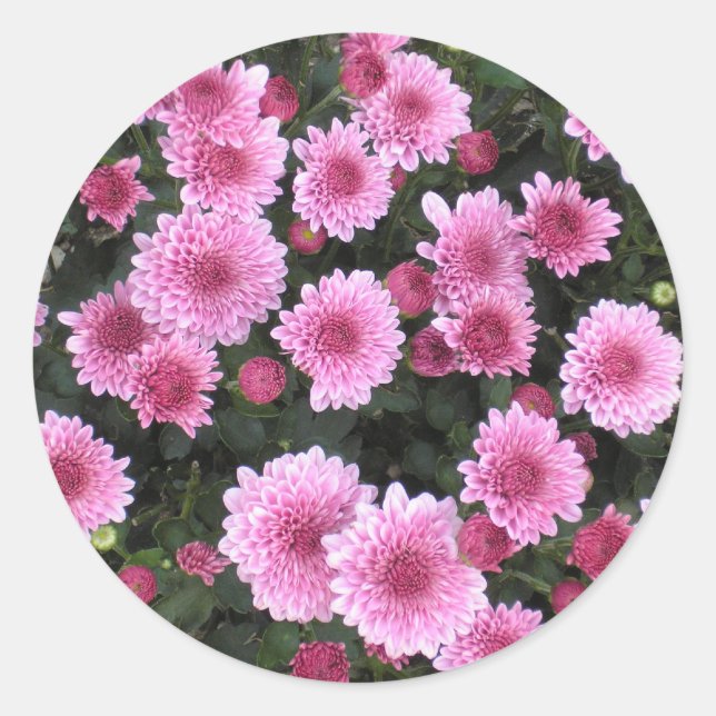 Adesivo Redondo Buquê da Natureza: Primavera (Frente)