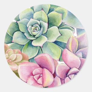 Adesivo Redondo Buquê de Suculentas Aquarela Verão