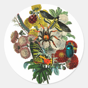 Adesivo Redondo Buquê Flor Com Insetos Alterados Arte Vintage
