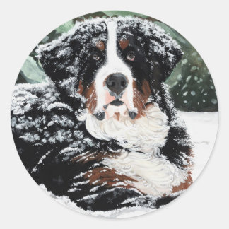 Adesivo Redondo Burr