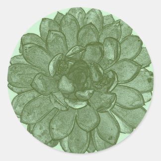 Adesivo Redondo Burst Open - Verde e azul