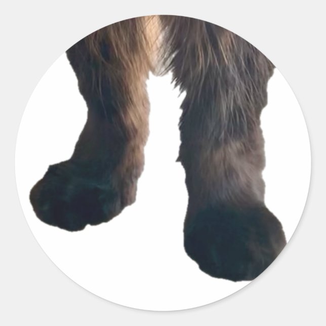 Adesivo Redondo Buster Sticker - Pés! (Frente)