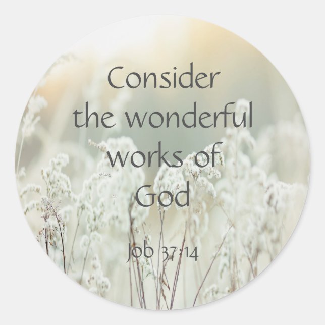 Adesivo Redondo Butterfly Inspirational Quote Garden Flowers Class (Frente)