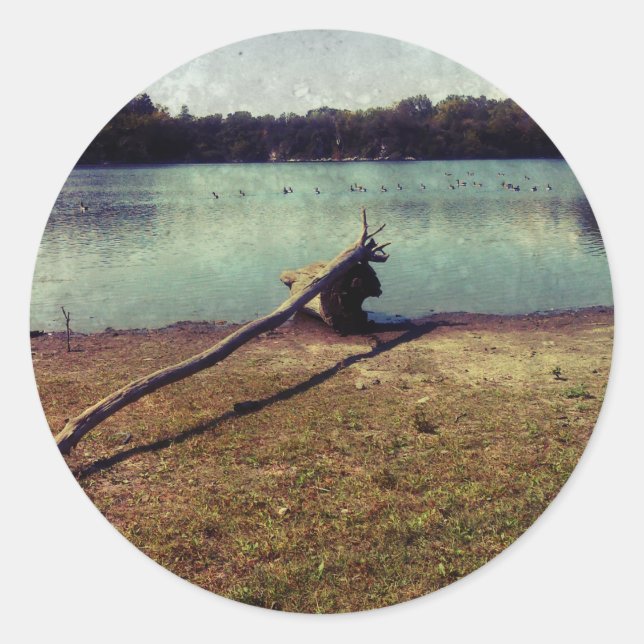 Adesivo Redondo Cabeça (Frente)