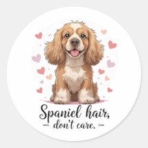 Cabelo de Spaniel Não Liga | Pelo Desgrenhado de C