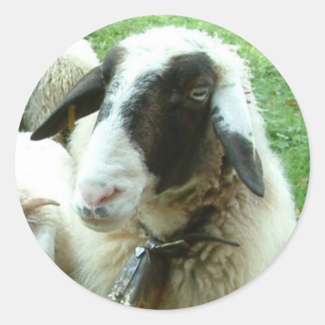 Adesivo Redondo Cabra (Frente)
