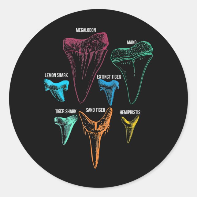 Adesivo Redondo Caça aos dentes de tubarão - Presentes de tubarão  (Frente)