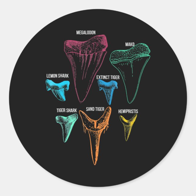 Adesivo Redondo Caça aos dentes de tubarão - Presentes de tubarão  (Frente)