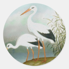 Adesivo Redondo Caça branca, Ilustrações de Aves