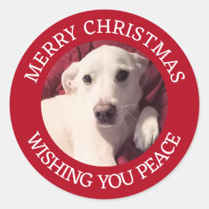Adesivo Redondo Cachorrinho Bonito Natal Feliz Paz Vermelho