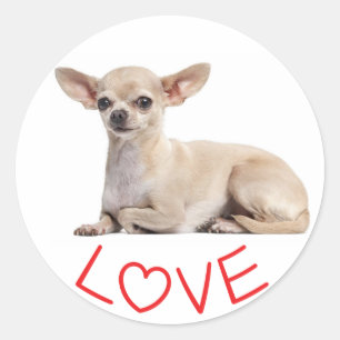 Adesivo Redondo Cachorrinho Chihuahua Fuchsia Vermelho Coração Amo