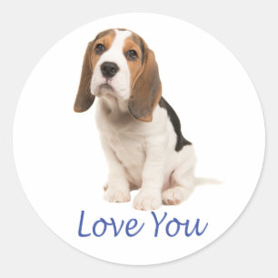 Adesivo Redondo Cachorro Beagle Fofo Amante Você Me Perdeu Amor Vo