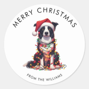 Adesivo Redondo Cachorro Border Collie Envolvido em Luzes de Natal