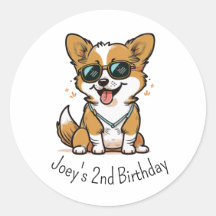 Cachorro Cachorro Corgi Cujo Cachorro é Com Óculos