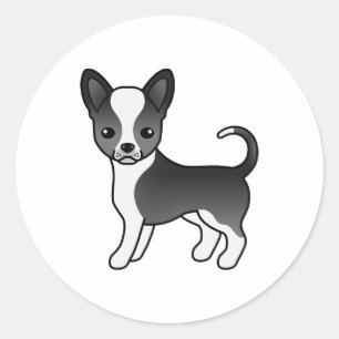 Adesivo Redondo Cachorro Casaco Chihuahua, preto e branco,