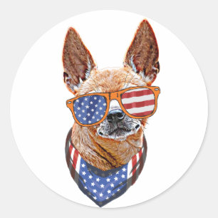 Adesivo Redondo Cachorro Chihuahua EUA Independência Americana 4 d