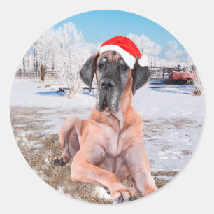 Adesivo Redondo Cachorro Cute Great Dane Sentado Na Neve Chapéu de