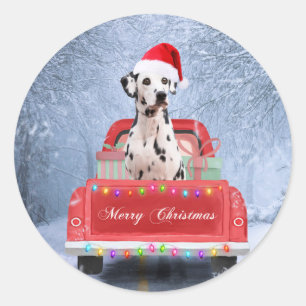 Adesivo Redondo Cachorro Dalmático em neve sentado no Caminhão de 