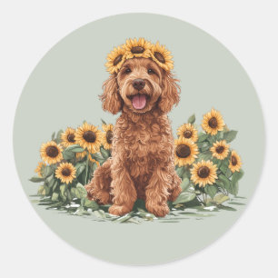 Adesivo Redondo Cachorro de Goldenododododle Cute Vestindo Uma Cor