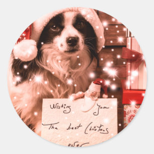 Adesivo Redondo CACHORRO DE NATAL COM ATIRADOR DE Papai Noel