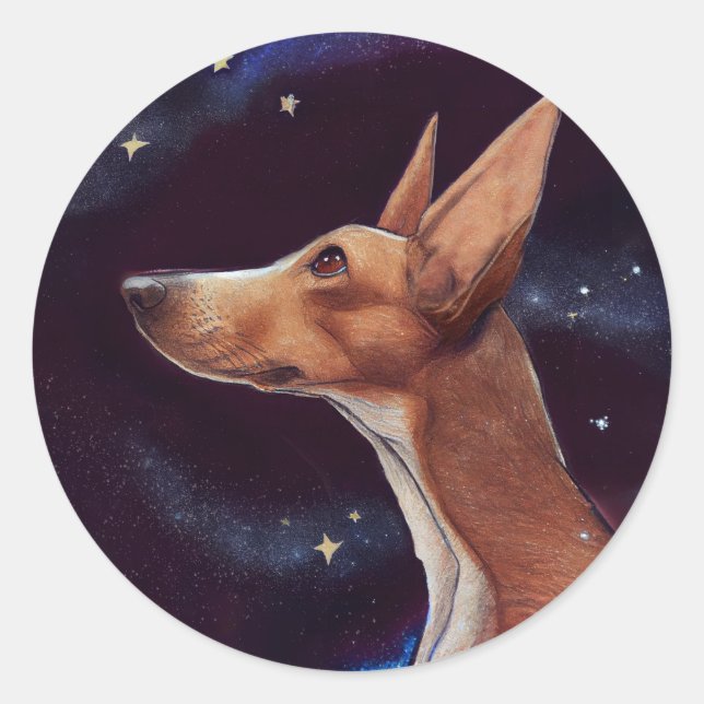 Adesivo Redondo Cachorro e Stars Art Night Sky (Frente)