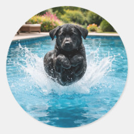 Adesivo Redondo Cachorro engraçado Canonball Festa de piscina de v