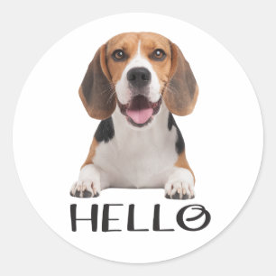 Adesivo Redondo Cachorro Filhote Beagle Fofo Olá Saudade Amizade