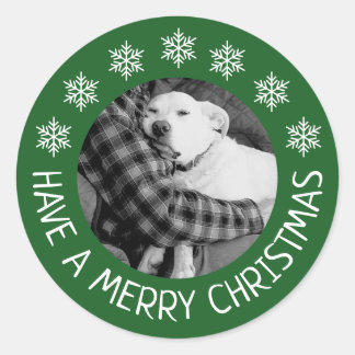 Adesivo Redondo Cachorro Fofo com Foto do Papai Natal Verde