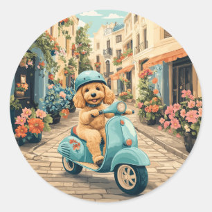 Adesivo Redondo Cachorro Goldendoodle andando de scooter pelas rua