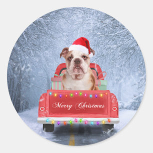 Adesivo Redondo Cachorro Inglês em Neve sentado no Caminhão de Nat
