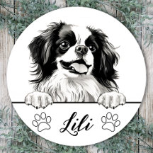 Cachorro Japonês Chin Personalizado