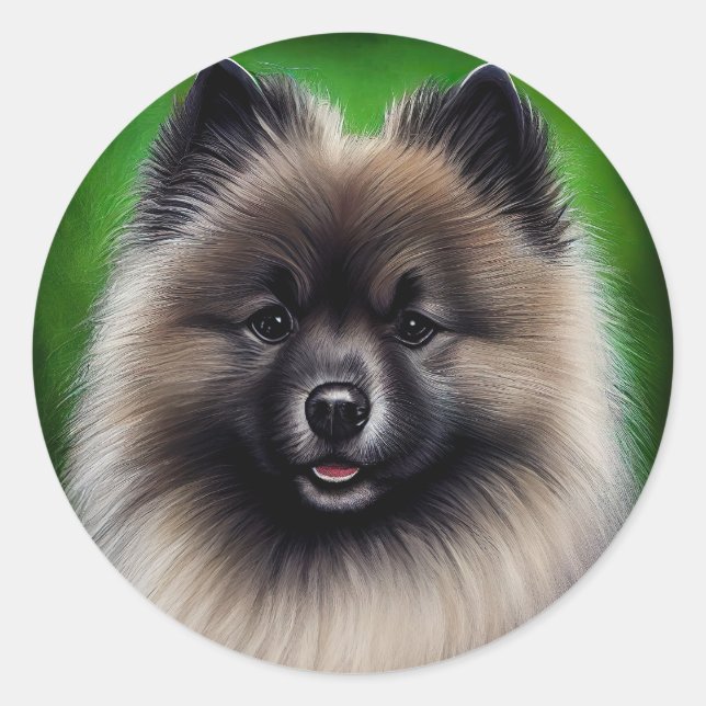 Adesivo Redondo Cachorro Keeshond na Rua. (Frente)