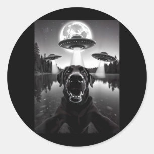 Adesivo Redondo Cachorro Labrador Labrinto Preto Engraçado Selfie 