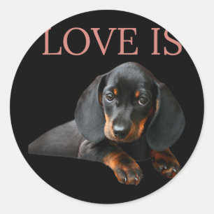 Adesivo Redondo Cachorro Pai Homens Mulheres Crianças Dando Doxie