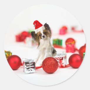 Adesivo Redondo Cachorro Papillon Fofo Chapéu de Natal do Papai No