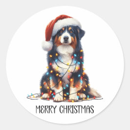 Adesivo Redondo Cachorro-pastor australiano molhado à luz de Natal