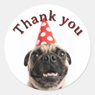 Adesivo Redondo Cachorro Pug Fofo de Aniversário com Chapéu Vermel