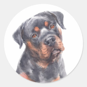 Adesivo Redondo Cachorro Rottweiler Aquarela Fofinho